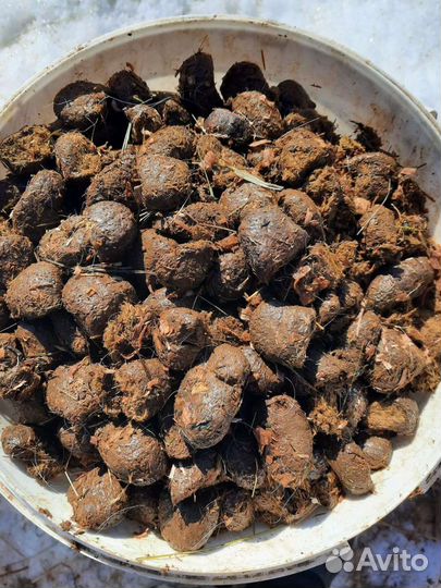 Навоз конский в мешках