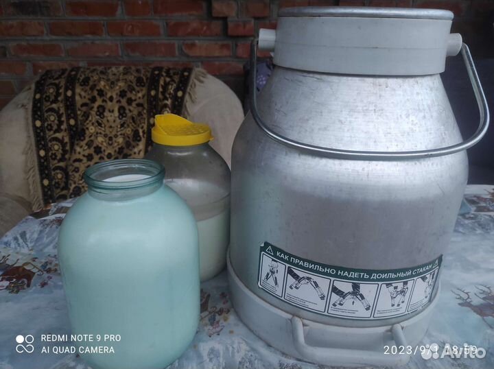 Молоко коровье домашнее