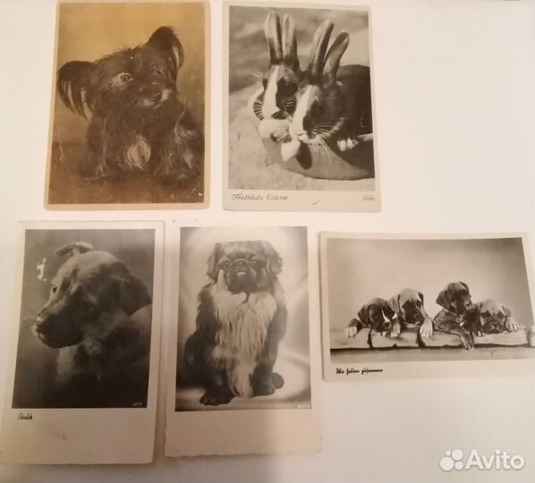 Антикварные немецкие открытки 40-50е годы