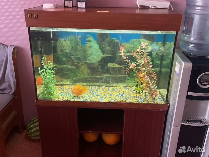 Аквариум с тумбой 200 литров