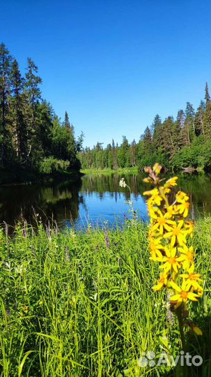 Рыбалка и отдых
