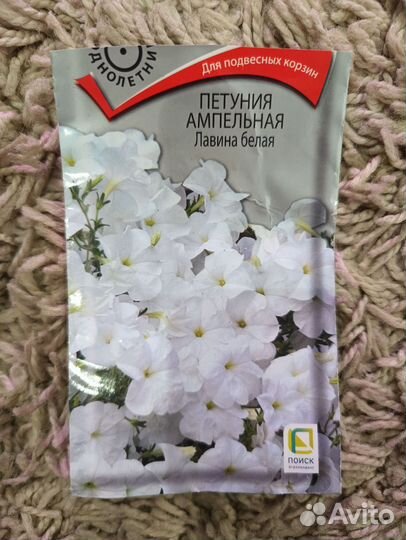 Рассада петунии