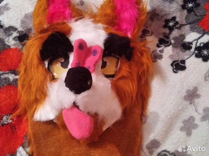 Фурсьют лисы