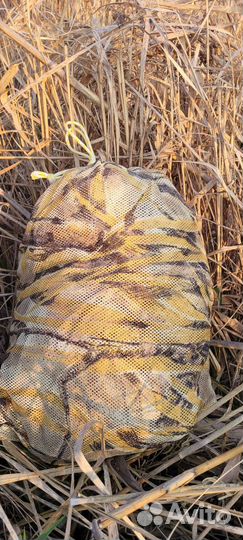 Маскировочная сеть 3*1,5м. Цвета- камыш и лес