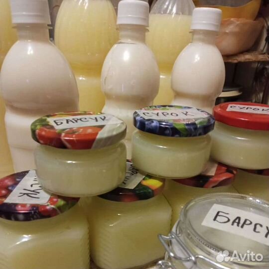 Барсучий жир - из Алтая в наличии