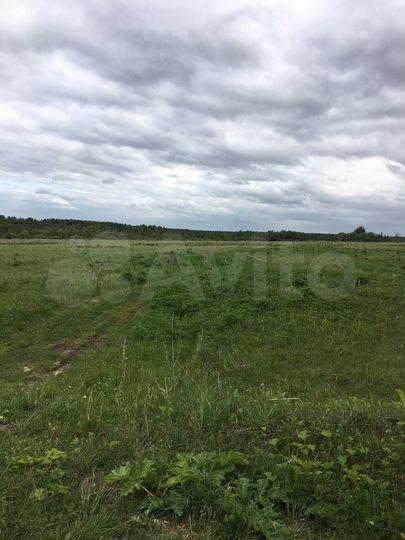 Участок 13,5 га (СНТ, ДНП)