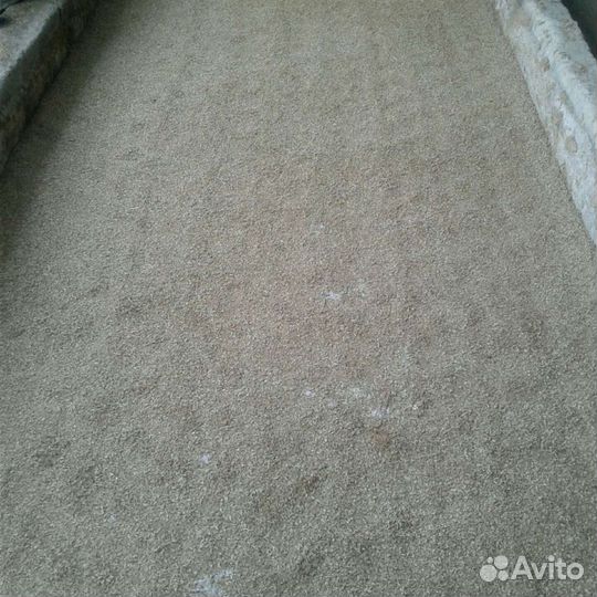 Корм дробина(барда солодовая мокрая) Барда сухая