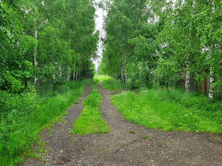 Участок 20 сот. (ИЖС)