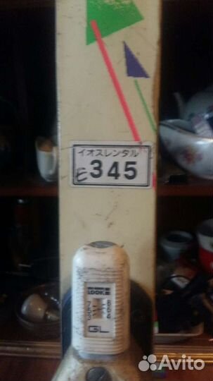 Горные лыжи