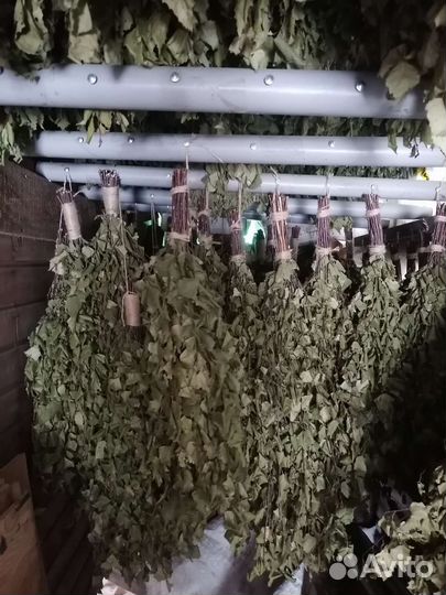 Березовые Веники для бани