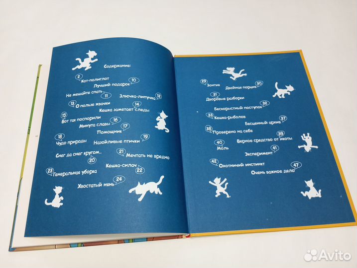 Кешка в центре внимания