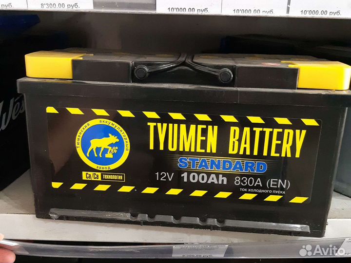 Аккумулятор tumen standard 100 AH