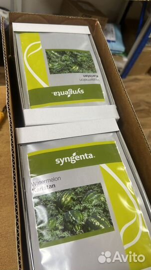 Семена арбуза