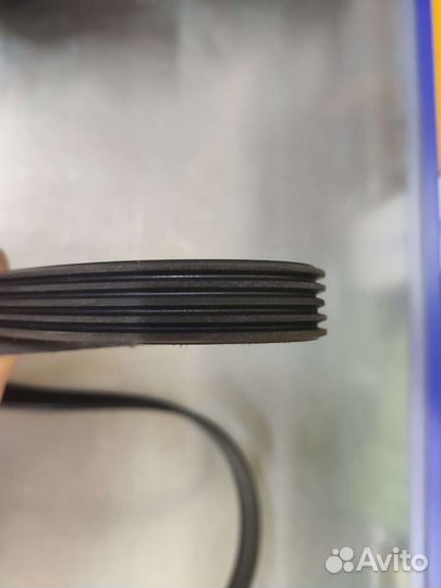 Ремень приводной Corsa D 55562422