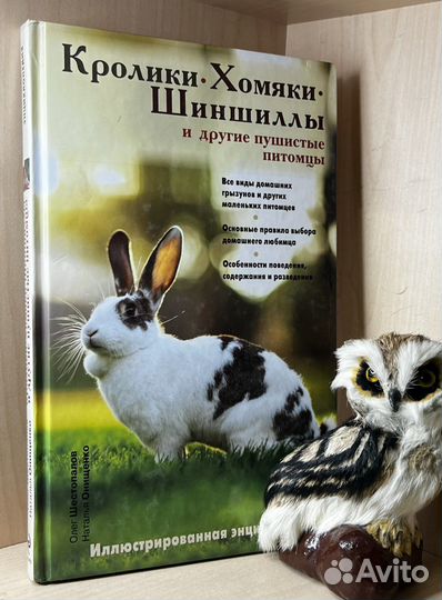Олег Шестопалов, Наталья Онищенко. Кролики, хомяки