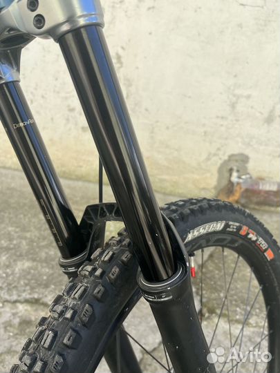 Specialized demo 2020