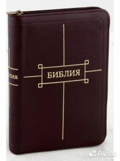 Российское Библейское Общество Библия на молнии