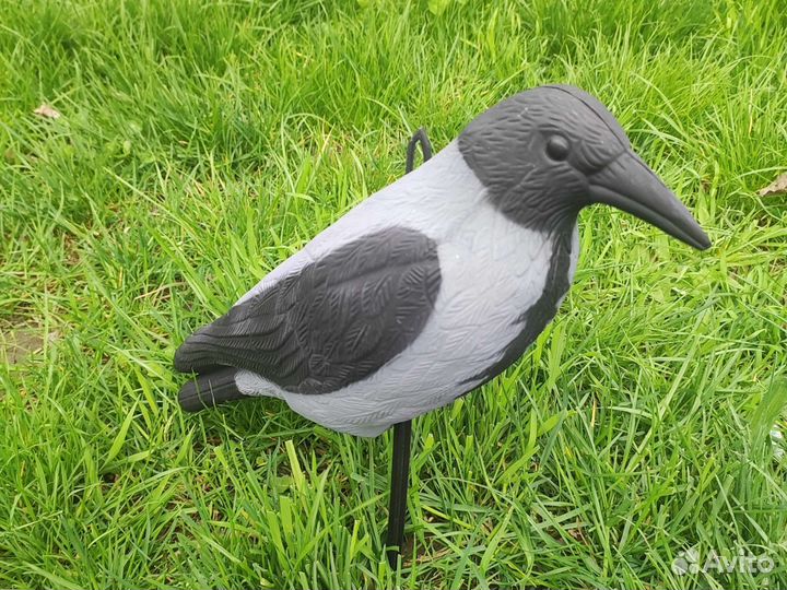 Чучело серой вороны для охоты