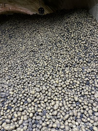 Картофель оптом от 2-х тонн