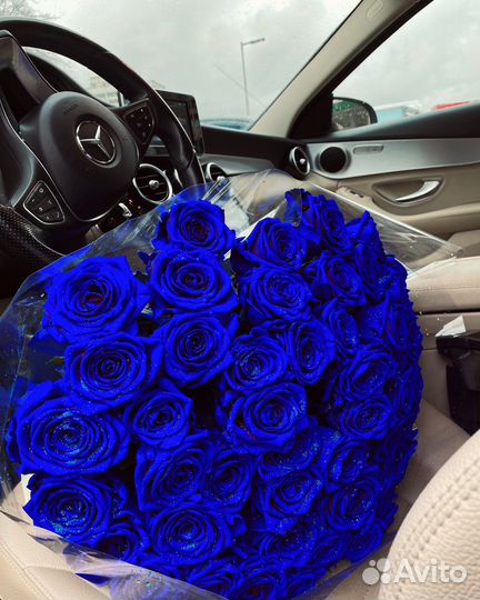 Синие розы голубые розы 101 роза 51 роза