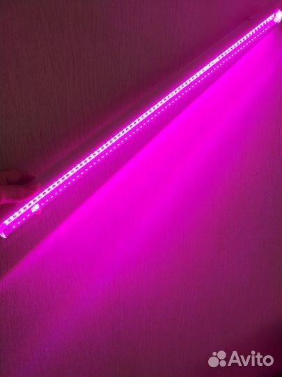 Светильники для растений