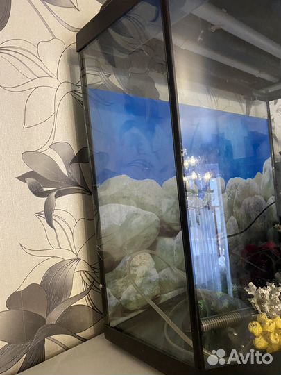 Аквариум с тумбой