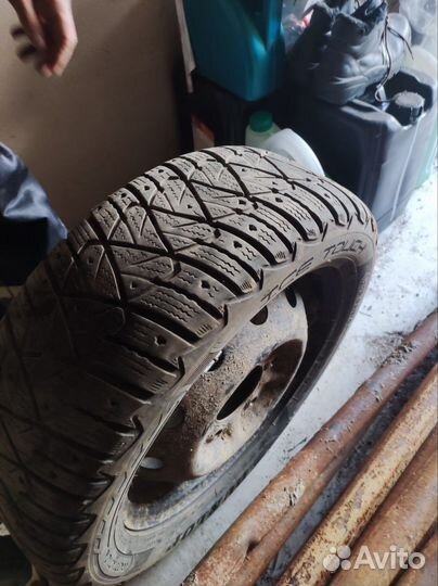 Dunlop Ice Touch 205/55 R16