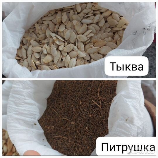 Семена овощей
