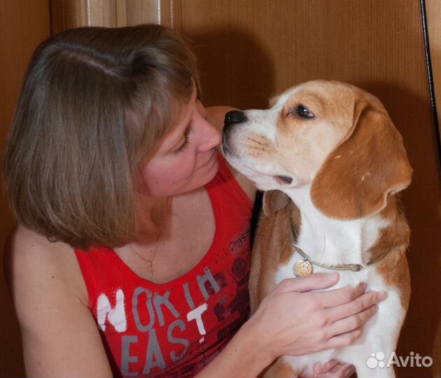 Передержка собак мини и малых пород