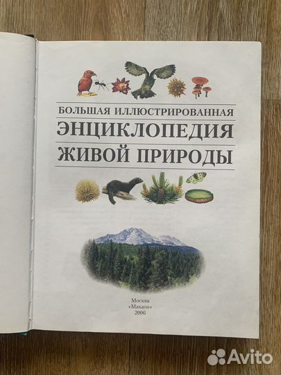 Иллюстрированная энциклопедия