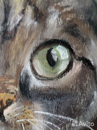 Картина Полосатый кот с зелёными глазами