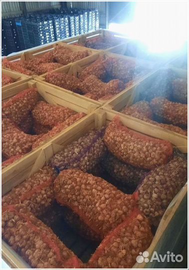 Ищу инвестора для развития бизнеса