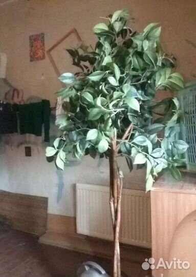 Искусственное дерево лимон штамб 1.5 м