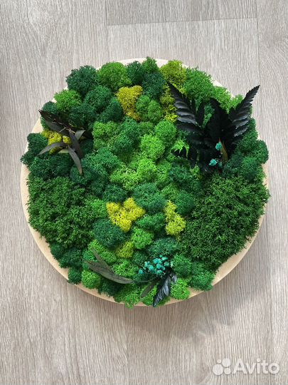 Панно из стабилизированного мха декоративное