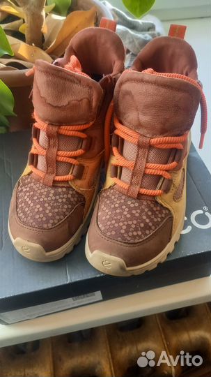Ботинки ecco демисезонные для девочки