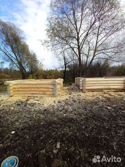 Срубы липовые