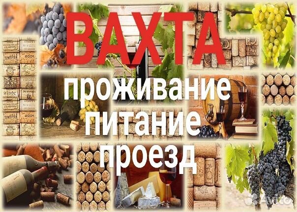 Вахта/стикеровщик/питание+проживание/Темрюк