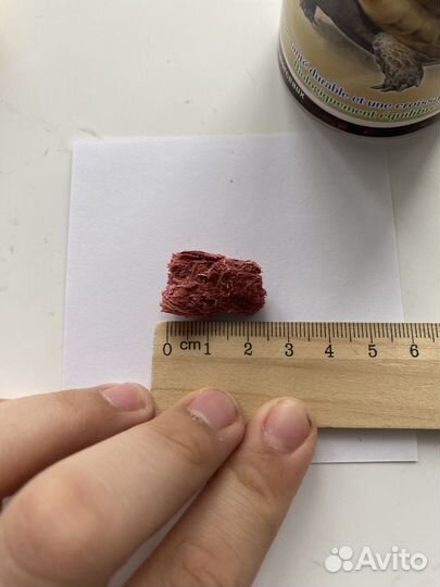 Корм для черепах