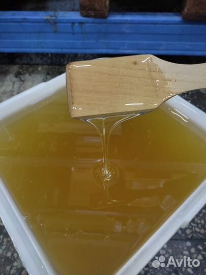 Свежий мед липа оптом