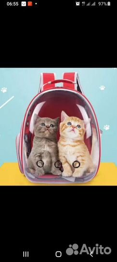 Рюкзак для кошек собак