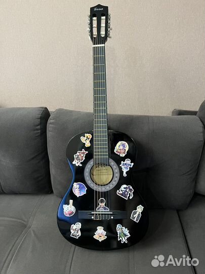 Акустическая гитара Terris