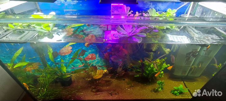 Аквариум с тумбой