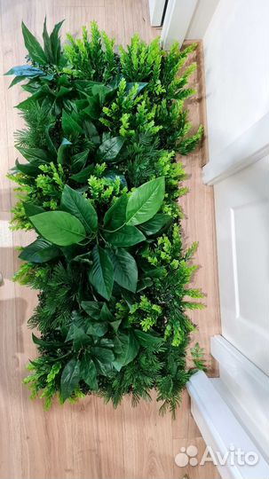 Фитокартина, фитостена