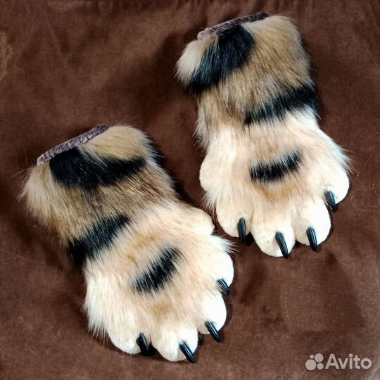 Фурчатки трехцветные