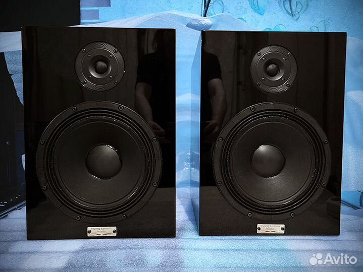 Напольная аудиофильская Hi End акустика