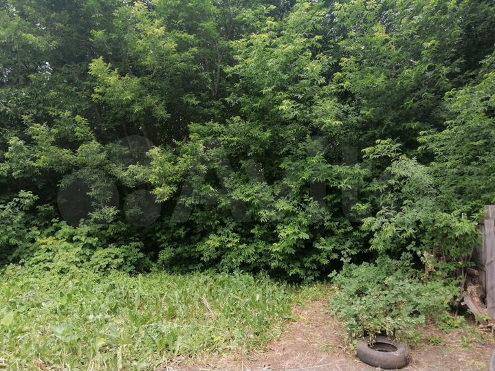 Участок 6 сот. (СНТ, ДНП)