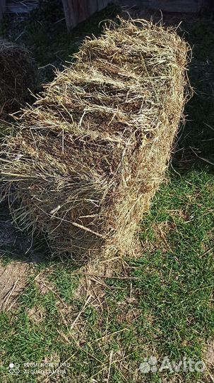 Сено