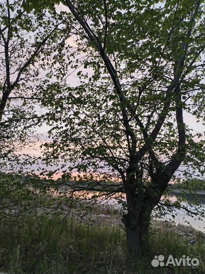 Отдых на острове