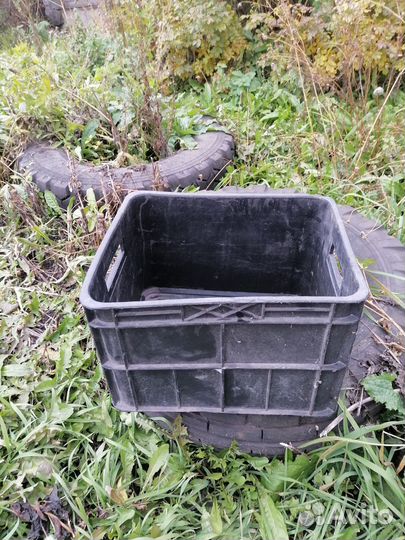 Пластиковые ящики для овощей бу