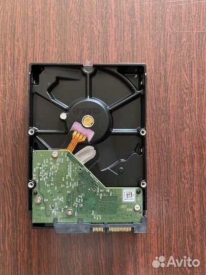 Жесткий диск WD Blue